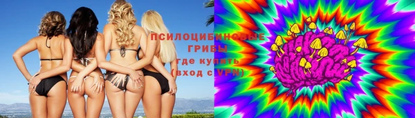 МДПВ Касимов