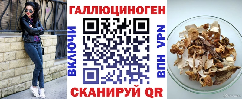 Купить закладки  Петухово  Псилоцибиновые грибы Psilocybine cubensis 